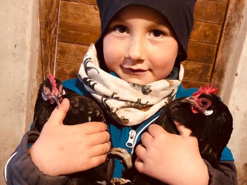 069d8e94-a9bf-4833-8e34-2f5963e5ead3