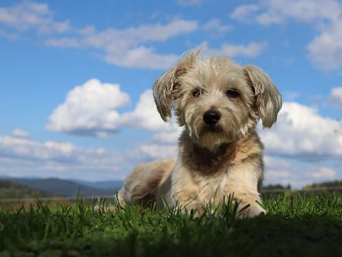 cf6d5a17-4bac-4a37-8a9e-48d99f08136b