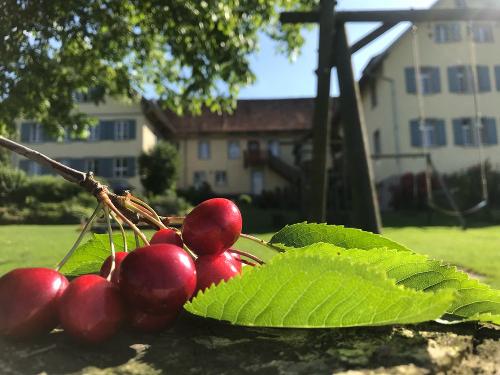 GartenKirchen GartenKirchen