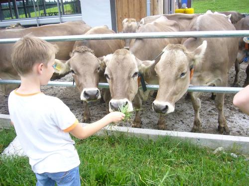 Tiere hautnah erleben