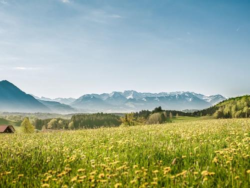 Natur pur um Haus und Hof