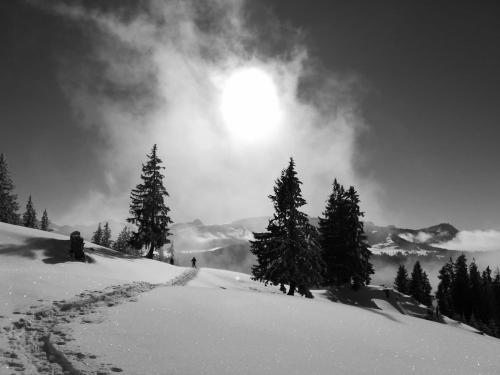 Schneeschuhtour