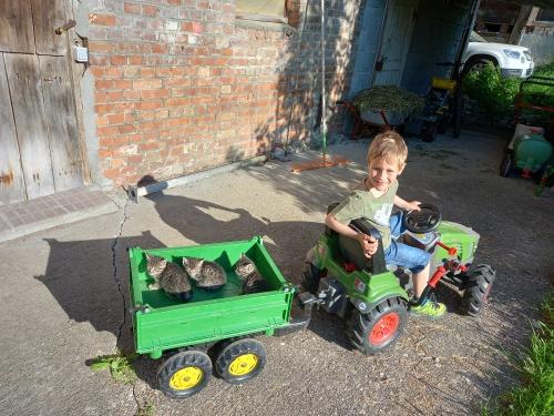 lässt Kinderherzen höher schlagen