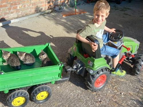 lässt Kinderherzen höher schlagen