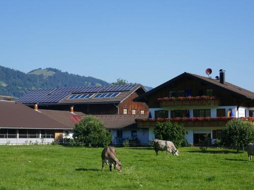 Ferienhof Brutscher Ferienhof Brutscher