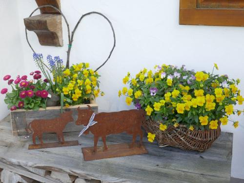 Wohlfühlen Wohlfühlen