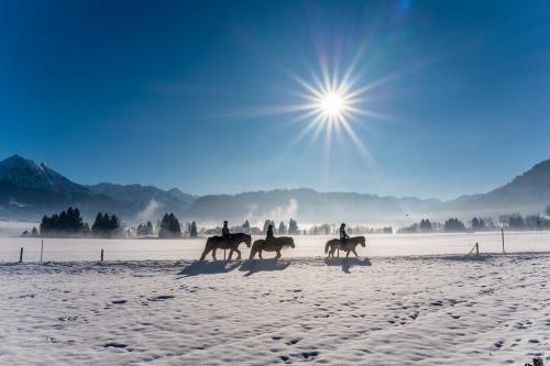Winterausritt