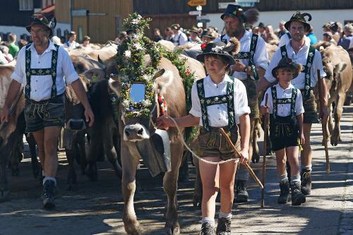 2015-09-21_viehscheid_01