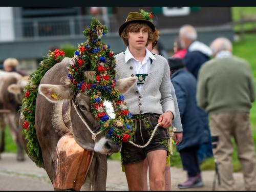 Quirin mit Kranzrind der Alpe Bolgen