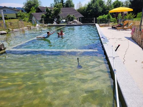 Schwimmteich Schwimmteich
