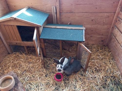 Mausi und Flecki im Winterquartier