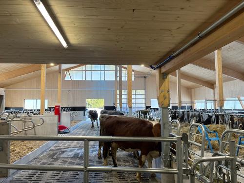 Einzug in den neuen Stall