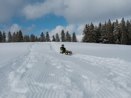 Rodeln direkt am Hof