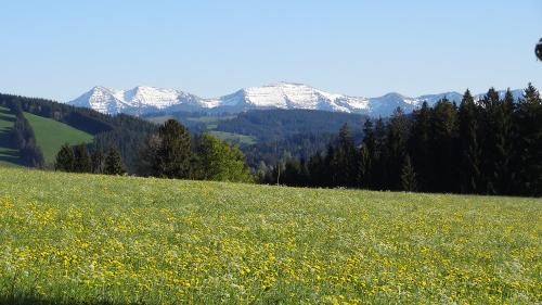 Genießen Sie unsere traumhafte Lage und den Weitblick