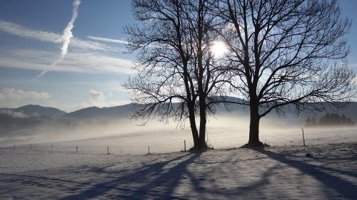 Bei uns im Winter