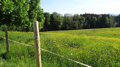 Wanderweg