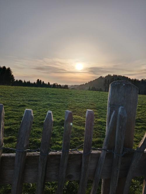 Abendsonne