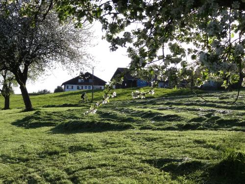 Seien Sie dabei, wenn bei uns Gras gemäht wird