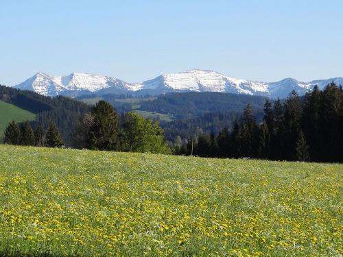 Genießen Sie unsere traumhafte Lage und den Weitblick
