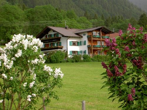 hofbild