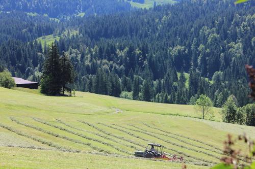 bild33