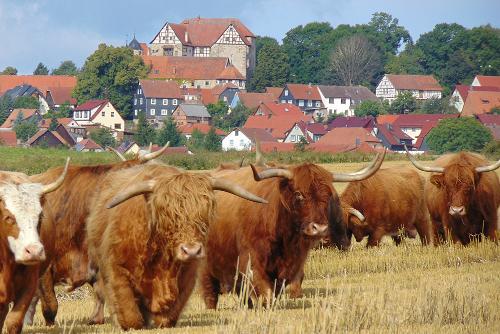 Highlands