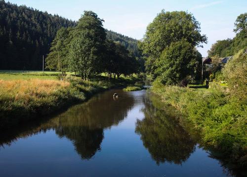 Weiße Elster an der Steinermühle