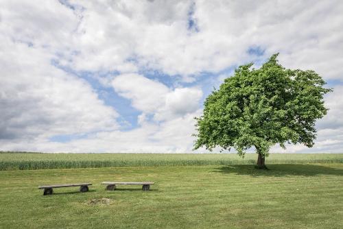 Blick aus dem Garten