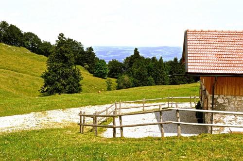 Blick von der Niederalm