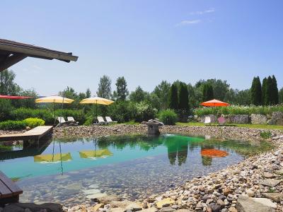Bio Schwimmteich am Birkholmhof