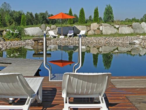 Naturpool mit Liegebereich