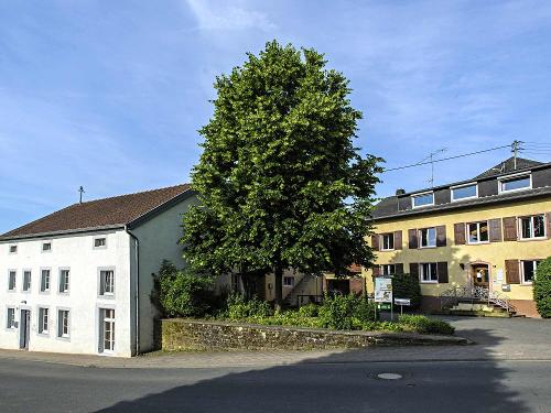 Nengshof in der Eifel