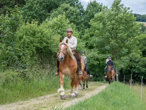 Gemeinsamer Ausritt mit Carsten Lenz