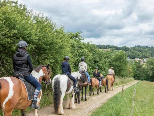 Gemeinsamer Ausritt in der Natur der Südeifel