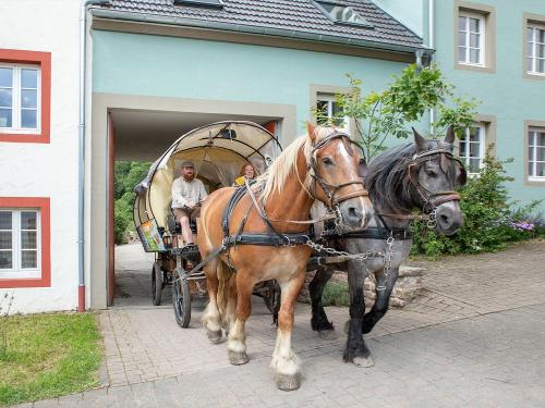 Kutschfahrt auf dem Nengshof