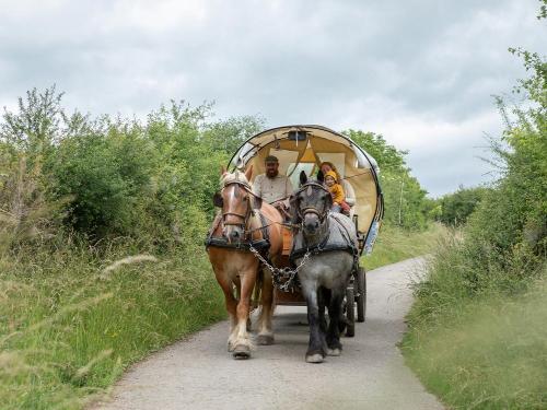 Kutschfahrt auf dem Nengshof