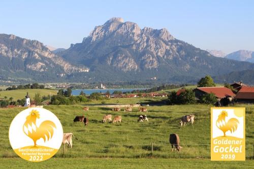 Goldener Gockel 2019 und 2022 Wohlfühlatmosphäre