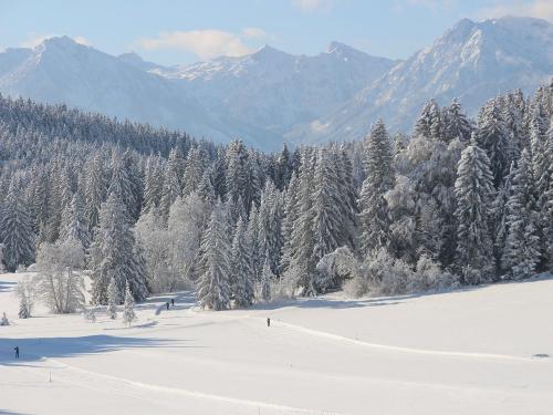 Loipenglück in Rieden am Forggensee