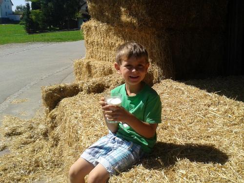 Max liebt frische Milch