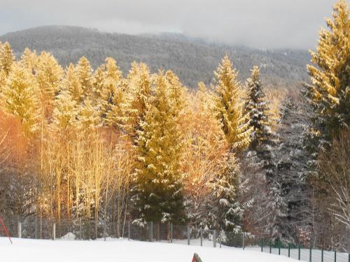 leuchtender Nachmittag