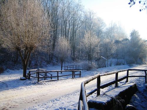 Winter vor dem Haus