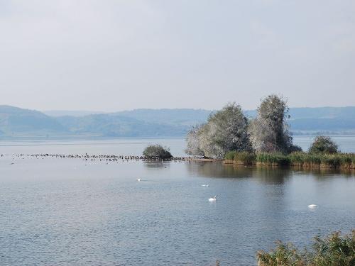 Stausee Kelbra