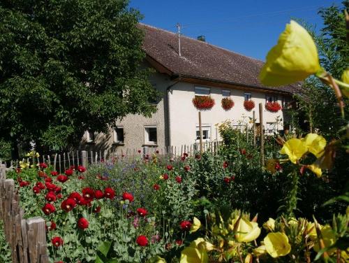 hoehlerhof-ailingen-bodensee-apfelbauernhof-bauerngarten