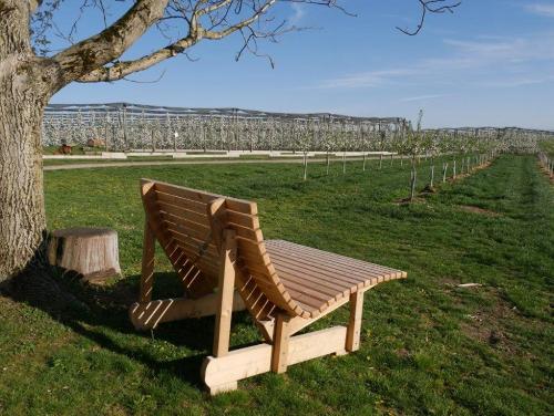 hoehlerhof-ailingen-bodensee-apfelbauernhof-liegebank-ausblick