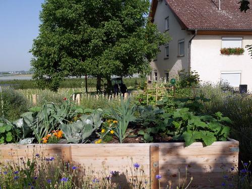 ferienwohnung-bauernhof-bodensee-hoehlerhof-garten-beete