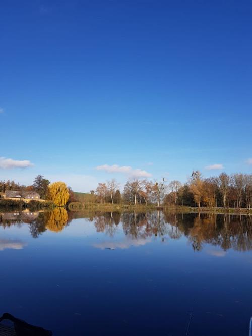 Blick auf den Teich
