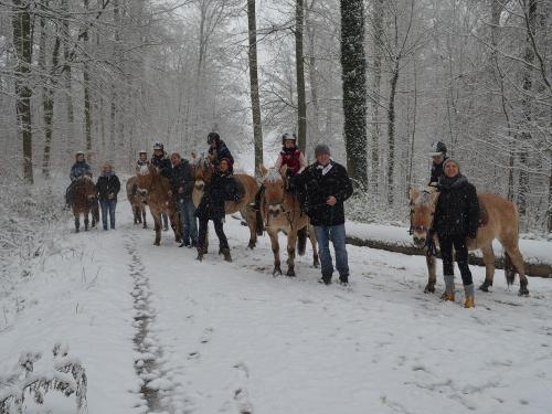Ausritt im Winter