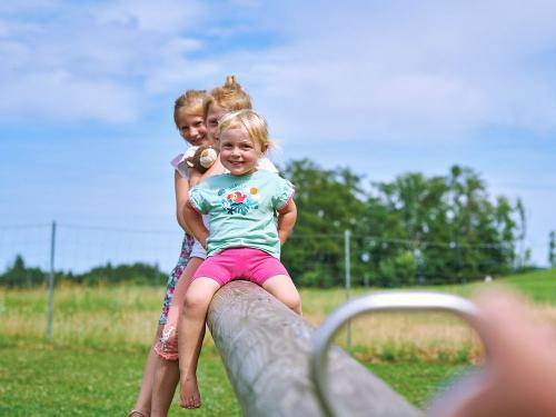 Unser Spielplatz bietet eine Wippe