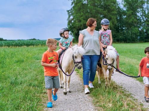 Bei uns sind Ponys zu Hause