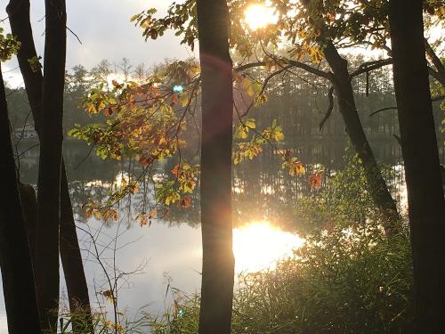 Herbst